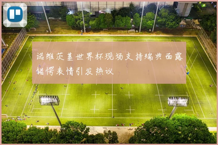 诺维茨基世界杯现场支持瑞典面露错愕表情引发热议
